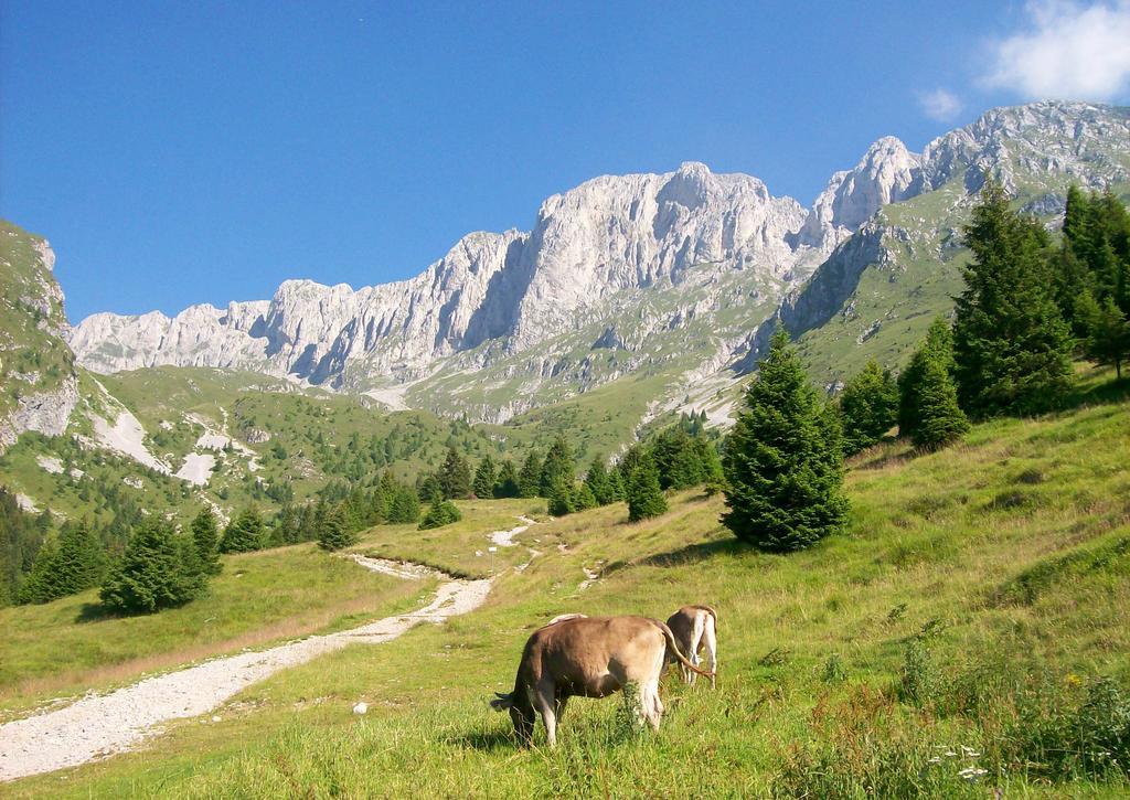 Eurohotel Mountain Wellness Castione della Presolana Kültér fotó